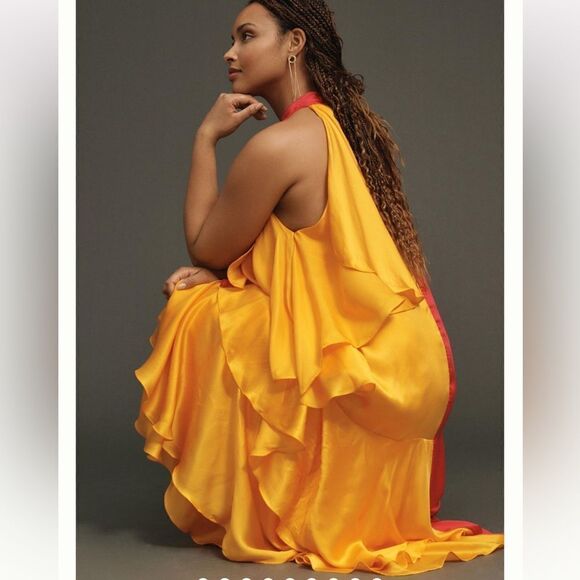 NWT Anthropologie Pinnacle by Shruti Sancheti Colorblock Ruffle Dress XL - Picture 12 of 16